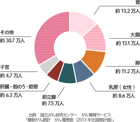 胃 約13.2万人、大腸 約13.1万人、肺 約11.2万人、乳房(女性) 約8.6万人、前立腺 約7.5万人、肝臓・胆のう・胆管 約6.3万人、子宮 約4.7万人、その他 約30.7万人|出典:国立がん研究センター がん情報サービス「最新がん統計 がん罹患数(2013年全国推計値)」
