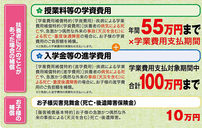 保障内容