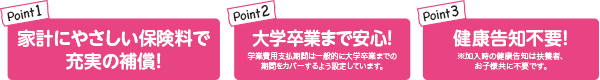 保障内容