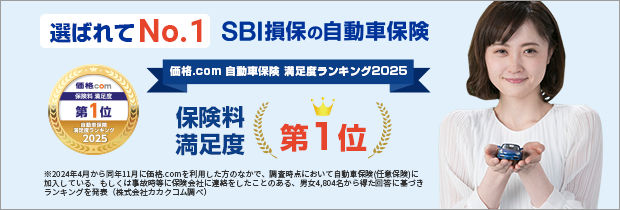 ｓｂｉ損保 個人総合自動車保険 パルシステムの保障 共済 保険