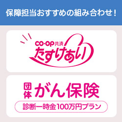 保障担当おすすめの組み合わせ！