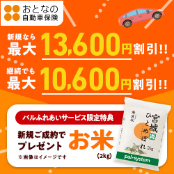 【セゾン自動車】おとなの自動車保険