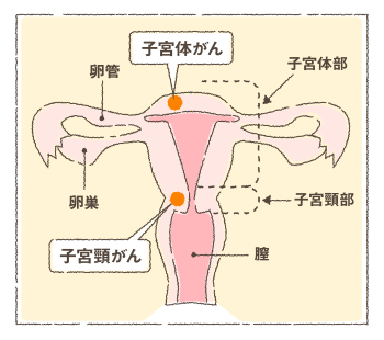 後 もの 知恵袋 おり 閉経