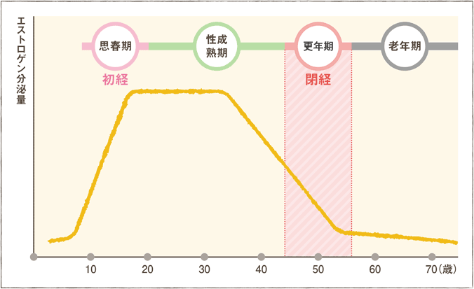 副作用 ホルモン 補充 療法